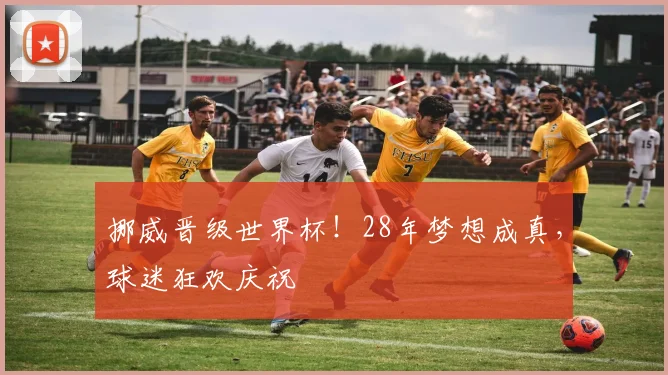 挪威晋级世界杯！28年梦想成真，球迷狂欢庆祝