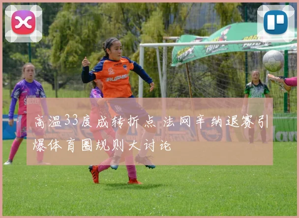 高温33度成转折点 法网辛纳退赛引爆体育圈规则大讨论