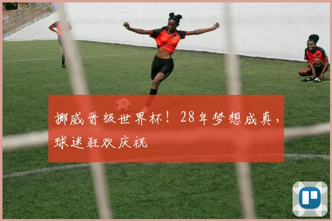 挪威晋级世界杯！28年梦想成真，球迷狂欢庆祝